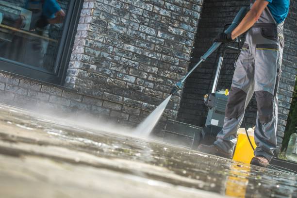 Best Roof Cleaning and Mildew Removal in Northumberland, PA